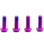 Titan Schrauben Set - M3x9 für SRAM Hebellager & Hope-Deckel