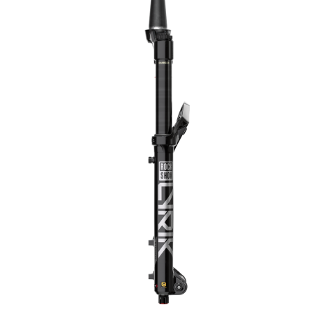 Lyrik Ultimate Charger 3.1 RC2 D2 Federgabel 2025