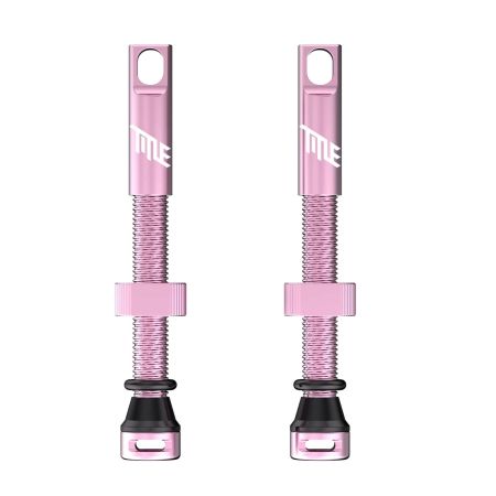 Tubeless Ventil Paar