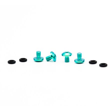 Titan Schrauben Set für SRAM Bleedport Mineralöl