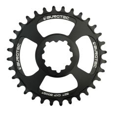 SRAM Thick Thin Kettenblatt