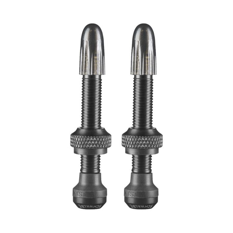 Tubeless Ventil Paar