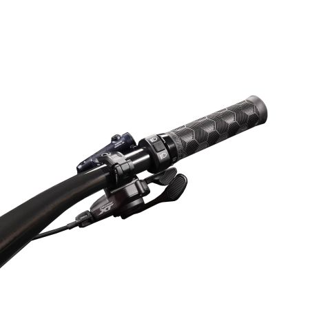 SL X für E-Bikes