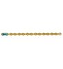 XX1 Eagle Kette