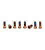Titan Schrauben Set - M4x9 für 8-Bolt Kettenblattmontage