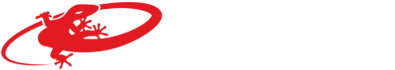 Lizard Skins