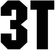 3T